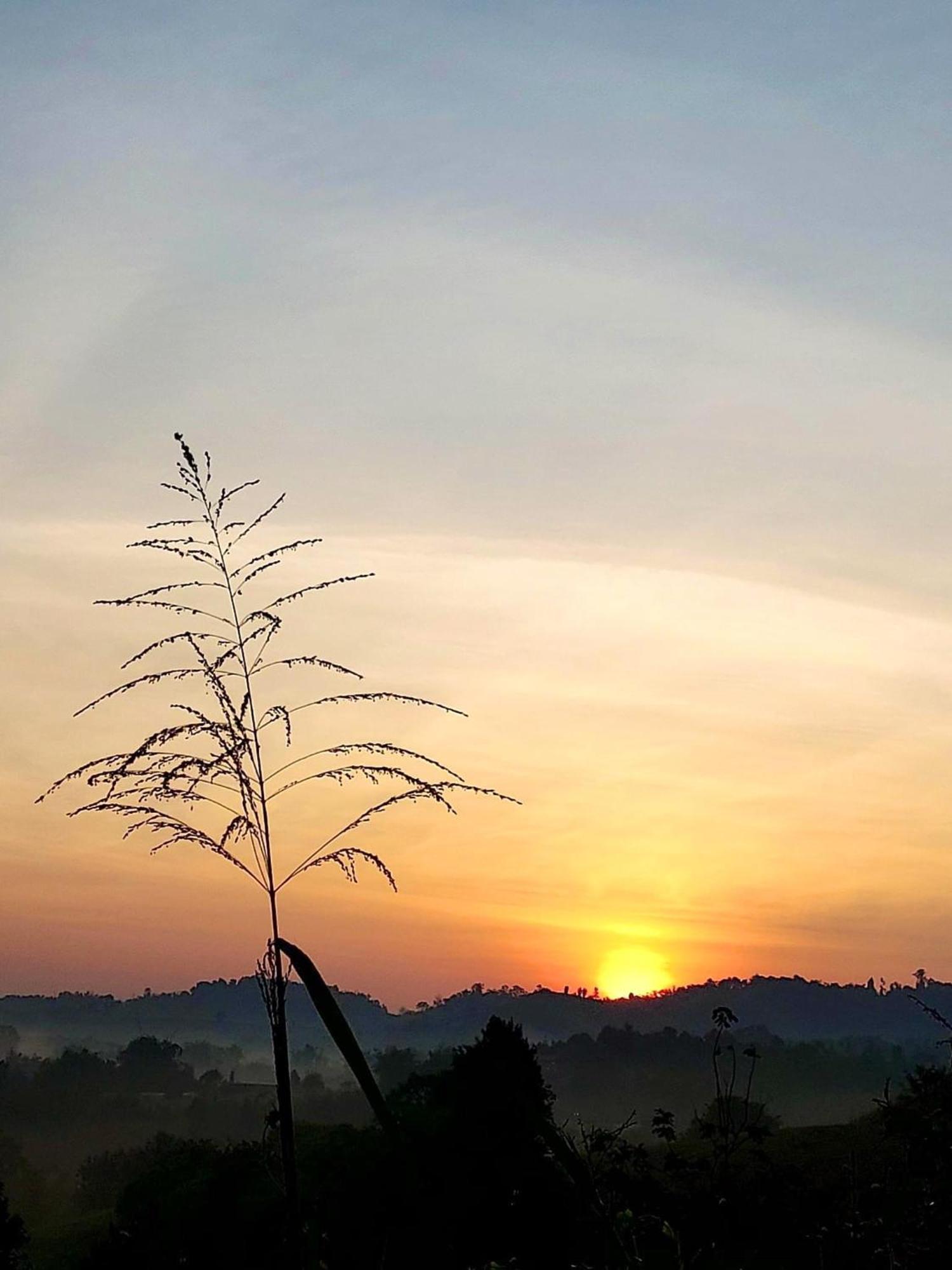 Chaikho Home Ban Khao Ya Nua Dış mekan fotoğraf